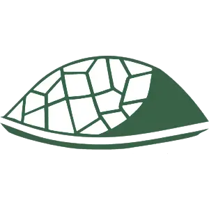 white shell